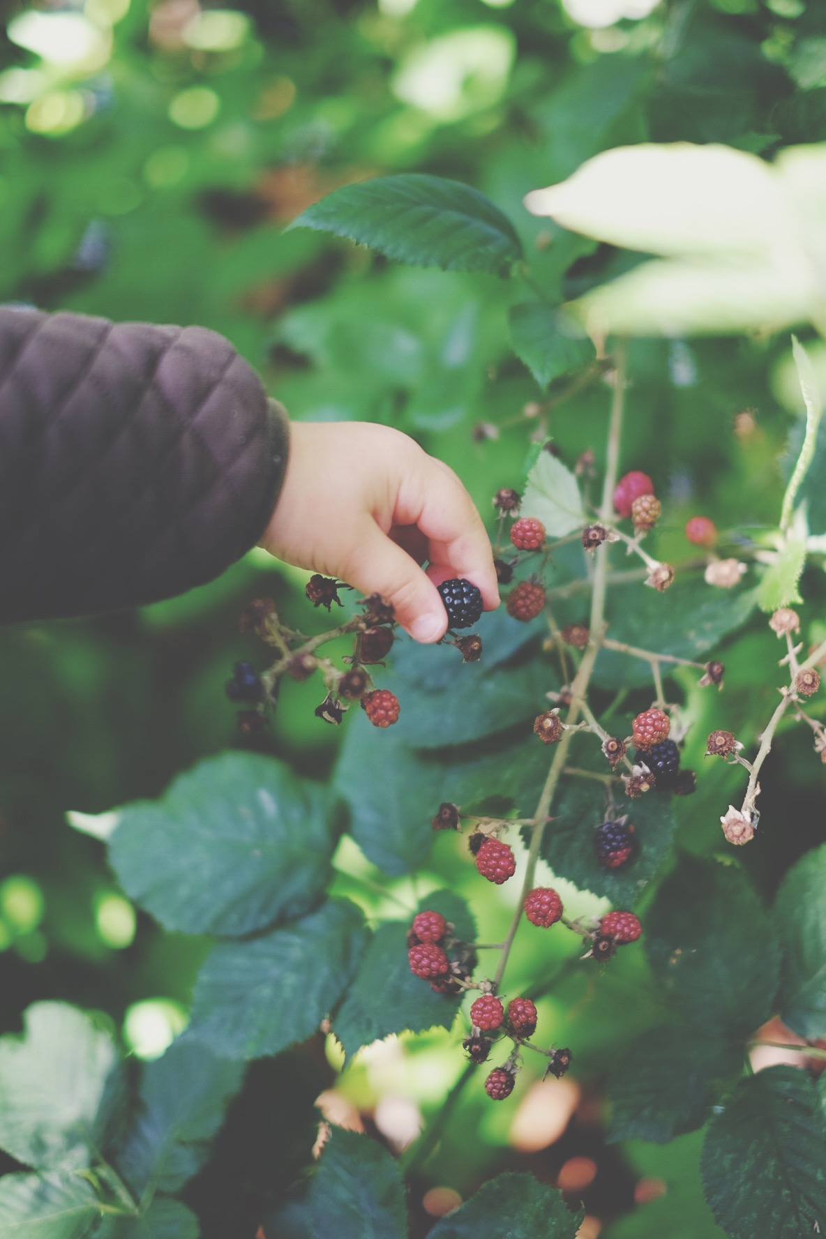 Processed with VSCO with t1 preset